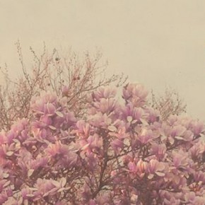 L'album de la semaine: Beirut // No No No L'album de la semaine: Beirut // No No No