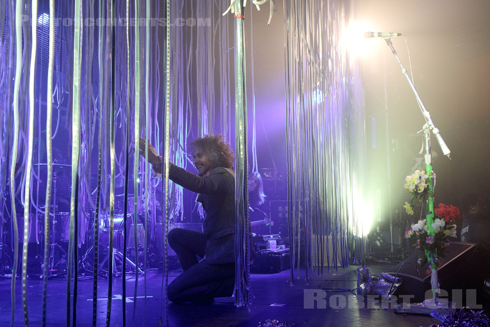 THE FLAMING LIPS